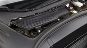 Tesla Model 3 – ventilatieroosterbeschermer (2017–2020) – productafbeelding 3