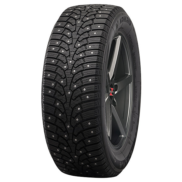 Nankang SW-9 245/45R19